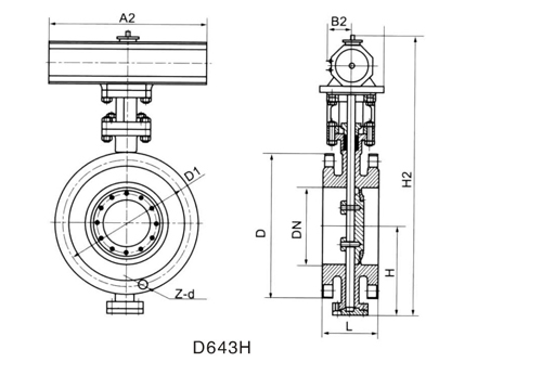 D643H.jpg